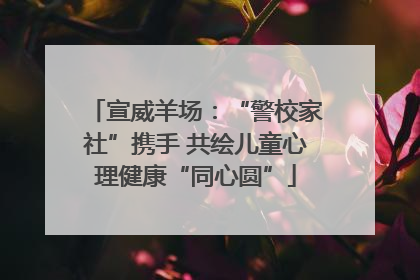宣威羊场：“警校家社”携手 共绘儿童心理健康“同心圆”