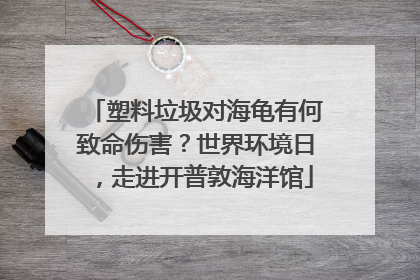 塑料垃圾对海龟有何致命伤害？世界环境日，走进开普敦海洋馆