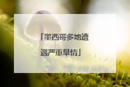 墨西哥多地遭遇严重旱情