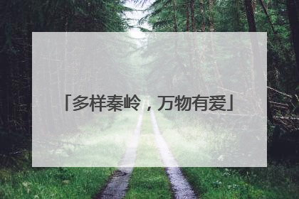 多样秦岭，万物有爱