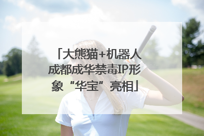 大熊猫+机器人 成都成华禁毒IP形象“华宝”亮相