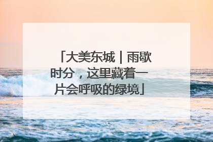 大美东城｜雨歇时分，这里藏着一片会呼吸的绿境