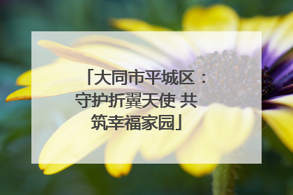 大同市平城区：守护折翼天使 共筑幸福家园