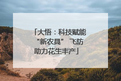 大悟：科技赋能“新农具” 飞防助力花生丰产
