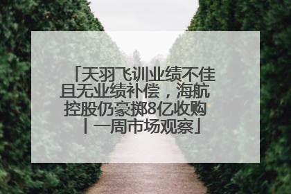 天羽飞训业绩不佳且无业绩补偿，海航控股仍豪掷8亿收购丨一周市场观察