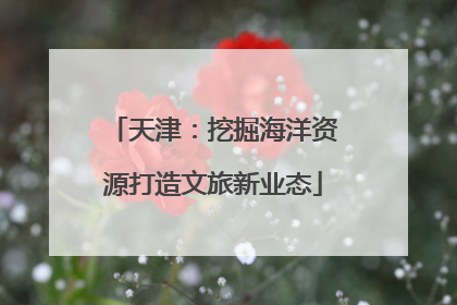 天津：挖掘海洋资源打造文旅新业态