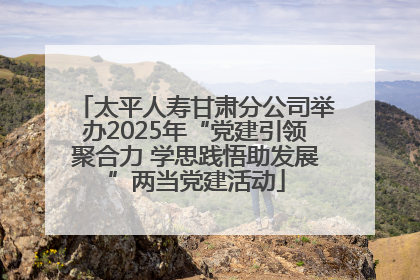太平人寿甘肃分公司举办2025年“党建引领聚合力 学思践悟助发展”两当党建活动