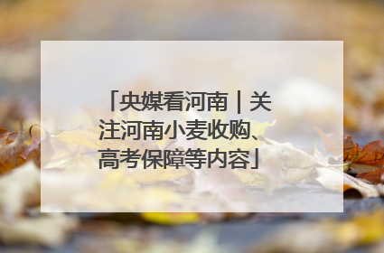 央媒看河南｜关注河南小麦收购、高考保障等内容