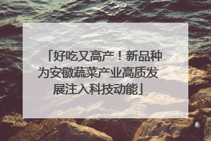 好吃又高产！新品种为安徽蔬菜产业高质发展注入科技动能