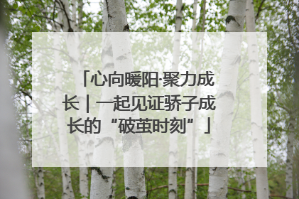 心向暖阳·聚力成长｜一起见证骄子成长的“破茧时刻”