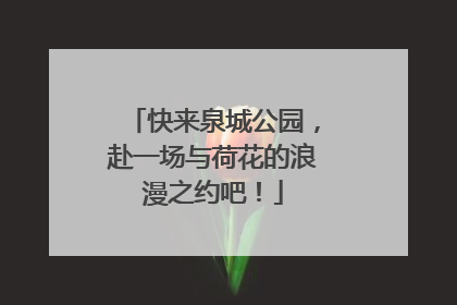 快来泉城公园，赴一场与荷花的浪漫之约吧！