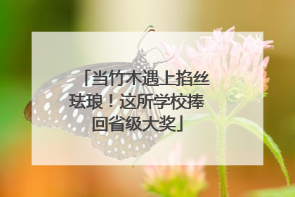 当竹木遇上掐丝珐琅！这所学校捧回省级大奖
