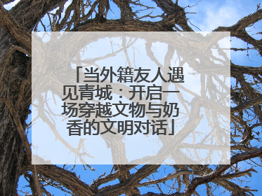 当外籍友人遇见青城：开启一场穿越文物与奶香的文明对话