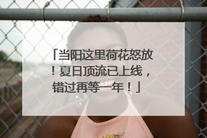 当阳这里荷花怒放！夏日顶流已上线，错过再等一年！