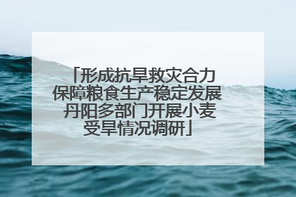 形成抗旱救灾合力 保障粮食生产稳定发展 丹阳多部门开展小麦受旱情况调研