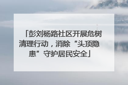 彭刘杨路社区开展危树清理行动，消除“头顶隐患”守护居民安全