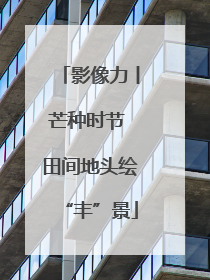 影像力丨芒种时节 田间地头绘“丰”景