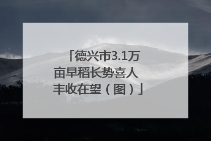德兴市3.1万亩早稻长势喜人 丰收在望（图）