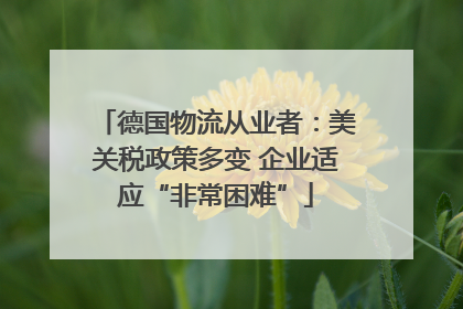 德国物流从业者：美关税政策多变 企业适应“非常困难”