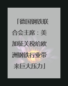 德国钢铁联合会主席：美加征关税给欧洲钢铁行业带来巨大压力