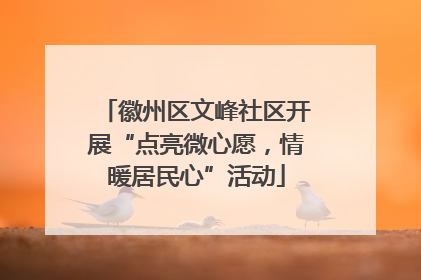 徽州区文峰社区开展“点亮微心愿，情暖居民心”活动