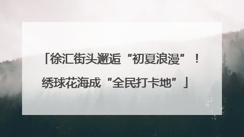 徐汇街头邂逅“初夏浪漫”！绣球花海成“全民打卡地”