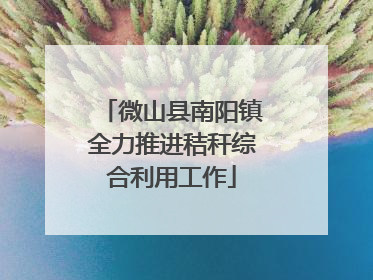 微山县南阳镇全力推进秸秆综合利用工作