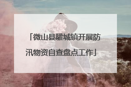 微山县驩城镇开展防汛物资自查盘点工作