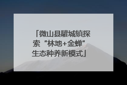 微山县驩城镇探索“林地+金蝉”生态种养新模式