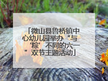 微山县鲁桥镇中心幼儿园举办“与‘粽’不同的六一”双节主题活动