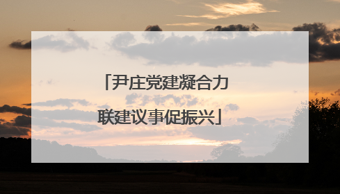 尹庄党建凝合力 联建议事促振兴