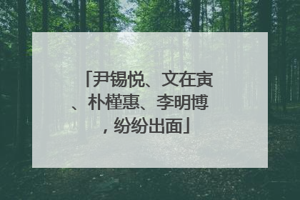 尹锡悦、文在寅、朴槿惠、李明博，纷纷出面