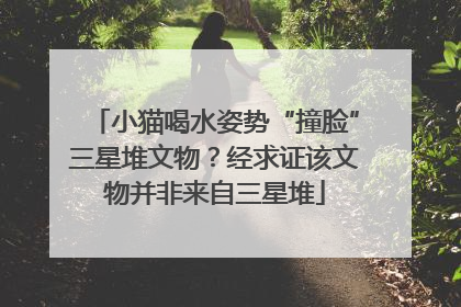 小猫喝水姿势“撞脸”三星堆文物？经求证该文物并非来自三星堆