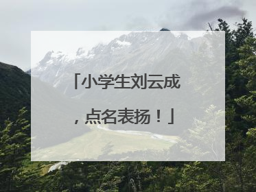 小学生刘云成，点名表扬！