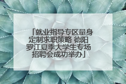 就业指导专区量身定制求职策略 德阳罗江夏季大学生专场招聘会成功举办