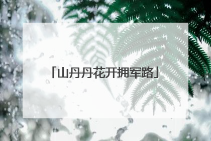 山丹丹花开拥军路
