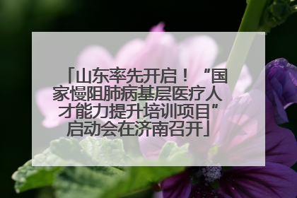 山东率先开启！“国家慢阻肺病基层医疗人才能力提升培训项目”启动会在济南召开