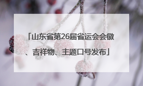 山东省第26届省运会会徽、吉祥物、主题口号发布
