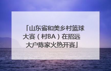 山东省和美乡村篮球大赛（村BA）在招远大户陈家火热开赛