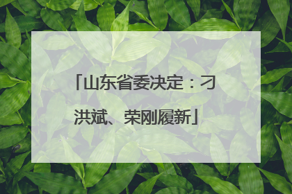山东省委决定：刁洪斌、荣刚履新