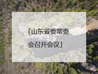 山东省委常委会召开会议