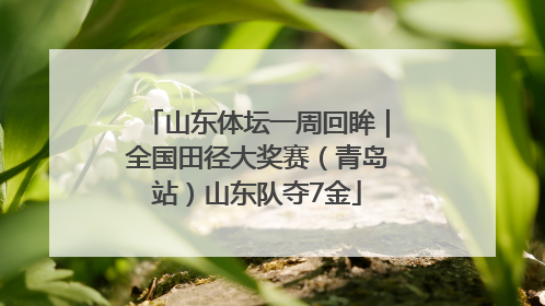 山东体坛一周回眸｜全国田径大奖赛（青岛站）山东队夺7金