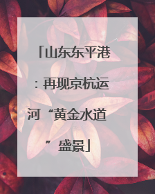 山东东平港：再现京杭运河“黄金水道”盛景