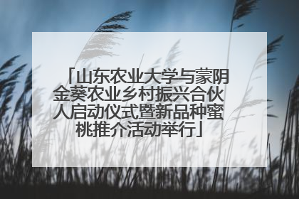 山东农业大学与蒙阴金葵农业乡村振兴合伙人启动仪式暨新品种蜜桃推介活动举行
