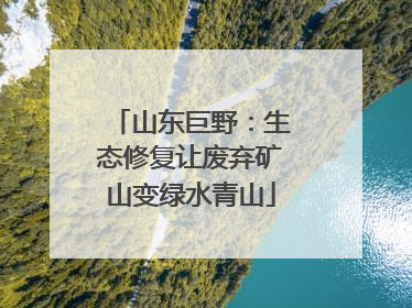 山东巨野：生态修复让废弃矿山变绿水青山