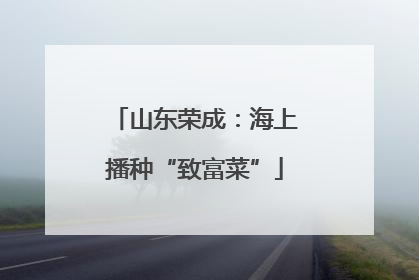 山东荣成：海上播种“致富菜”