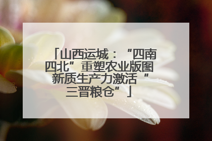 山西运城：“四南四北”重塑农业版图 新质生产力激活“三晋粮仓”