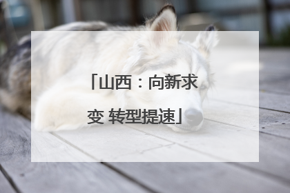 山西：向新求变 转型提速