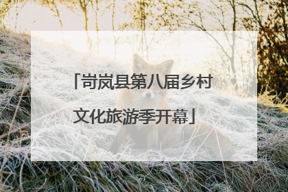 岢岚县第八届乡村文化旅游季开幕