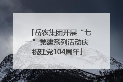 岳农集团开展“七一”党建系列活动庆祝建党104周年